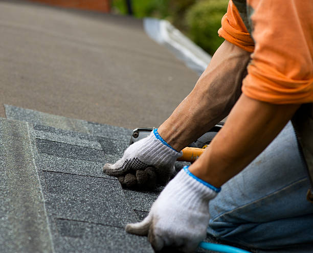 Quick and Trustworthy Emergency Roof Repair Services in Williston, SC